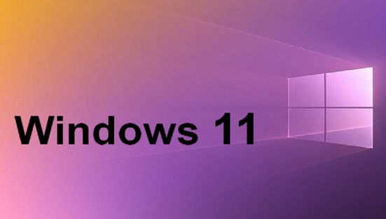 win11ôO(sh)ҕlڼwin11O(sh)ҕlڼEB