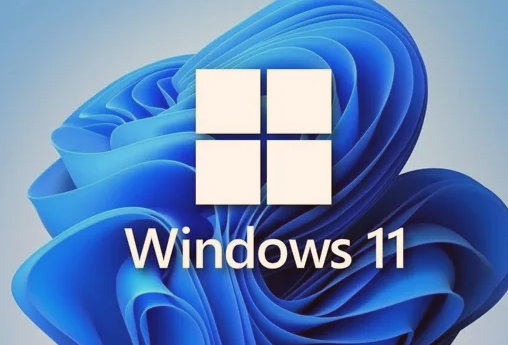 ô{(dio)win11@ʾֱ{(dio)win11@ʾֱʲ